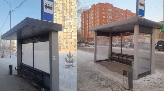    Фото: пресс-служба прокуратуры Новосибирской области