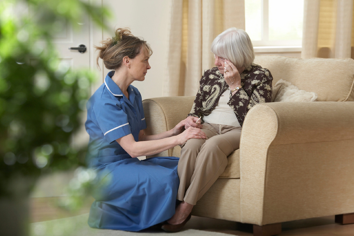 Фото из сети интернет. В открытом доступе.