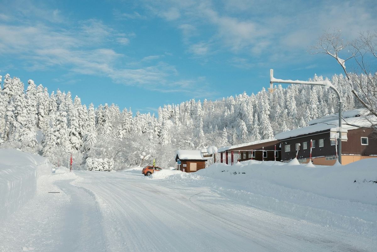 Фото с бесплатного фотостока https://unsplash.com, автор Dominic Kurniawan Suryaputra