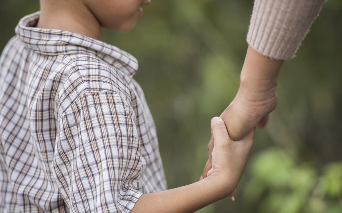    Четыре липецких НКО получат гранты на 11 млн рублей Freepik