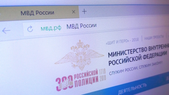    На сайте МВД России появился реестр контролируемых лиц Алина Городниченко