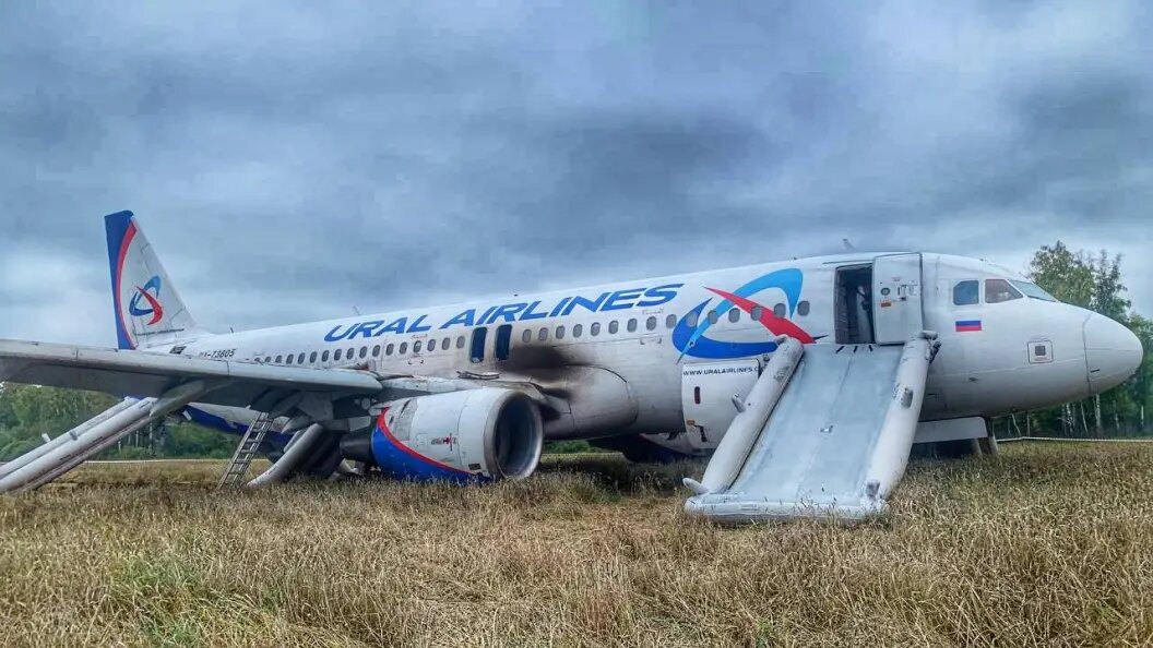    Фото: УТ МВД по СФО