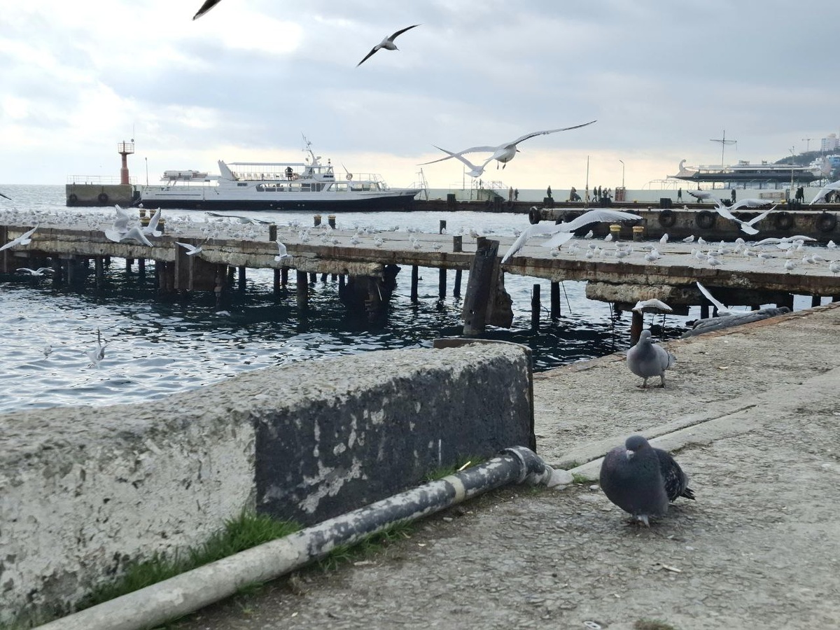 Ялта, набережная центральная: родитель насупившийся, ребёнок интересующийся и взрослые в полёте Жизни )))