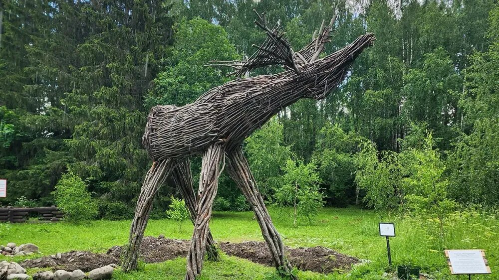 Фото: Sokolola, автор отзыва