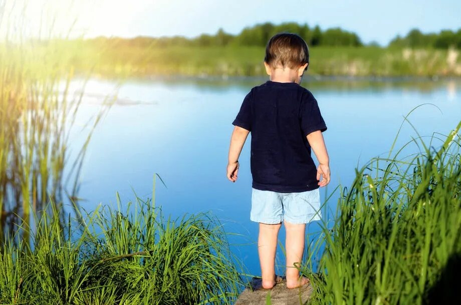 Из открытого доступа  