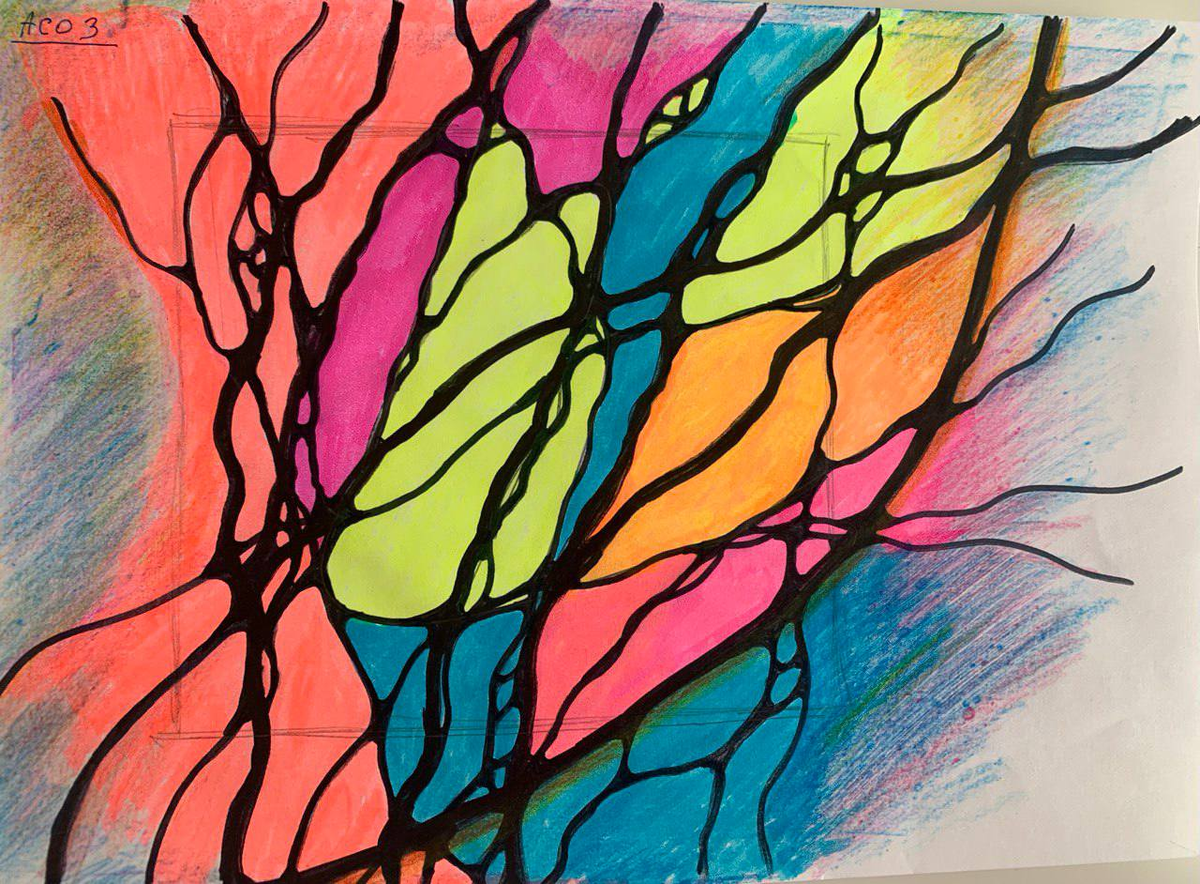 АСО экспресс в рамочке