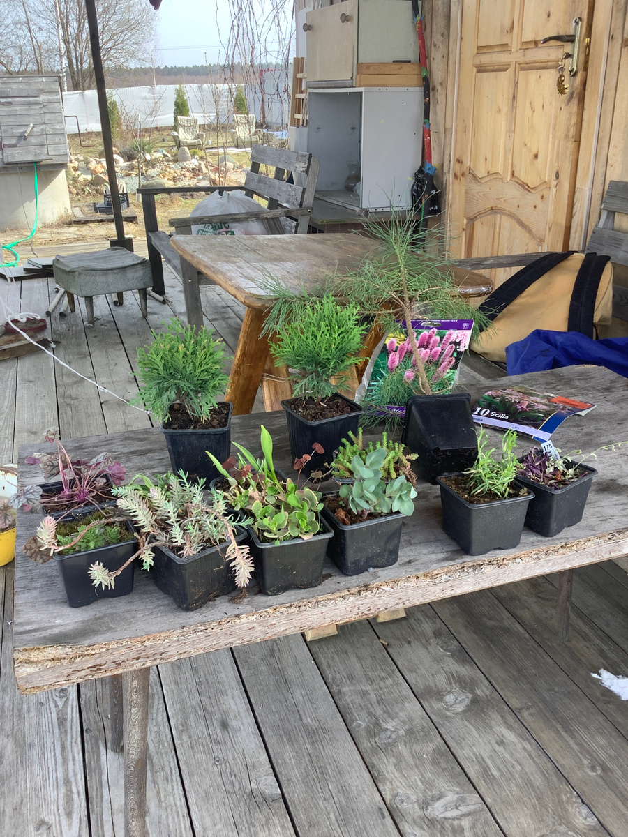 Первая партия из Гарденплантс прибыла