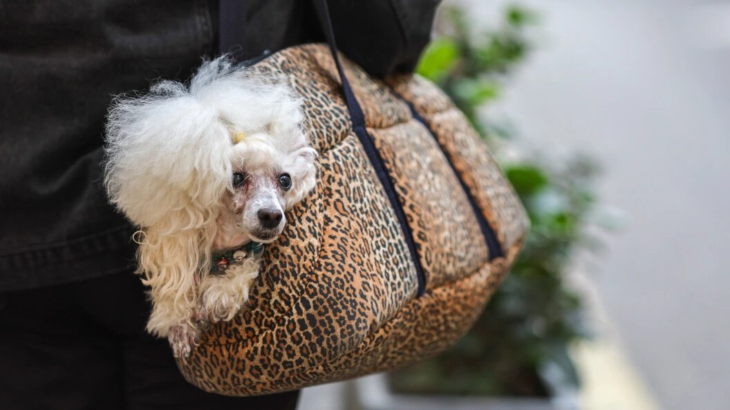    фото: Belkin Alexey/news.ru/Globallookpress