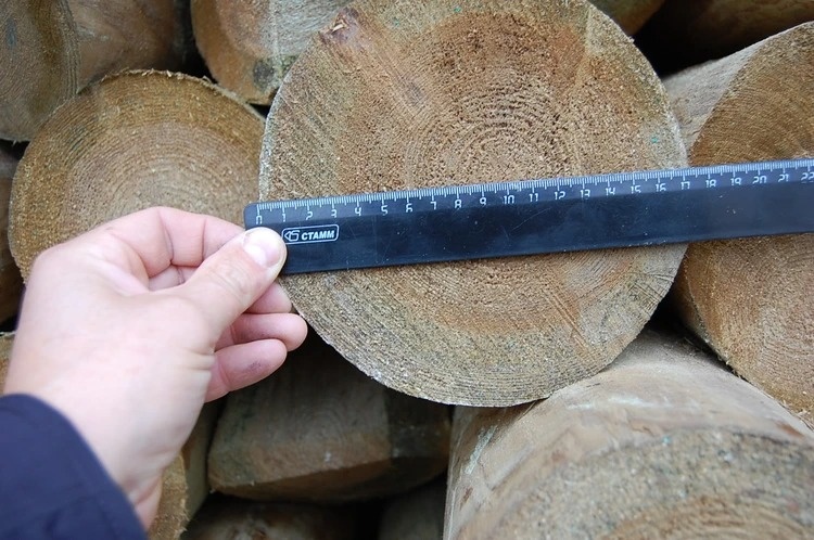 Фото: пресс-служба Омской таможни