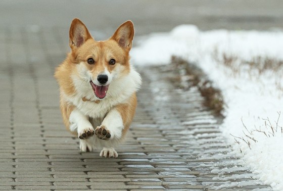    Сергей Булкин/NEWS.ru