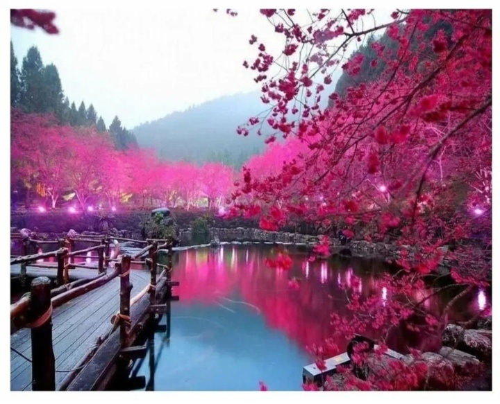 Из интернета. Просто красиво.