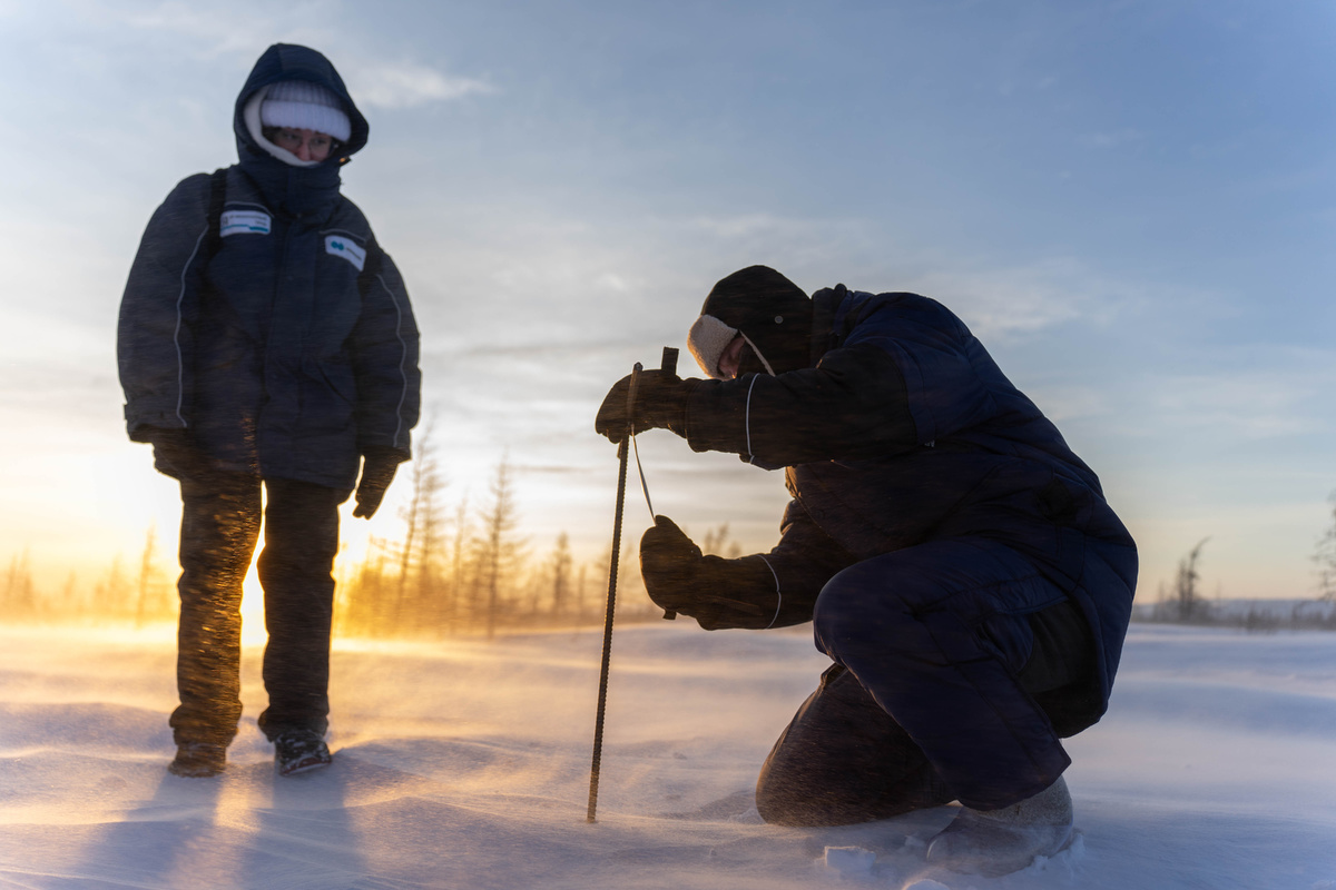 Определение мощности снежного покрова в природных условиях. Автор фото: Татьяна Сидорова