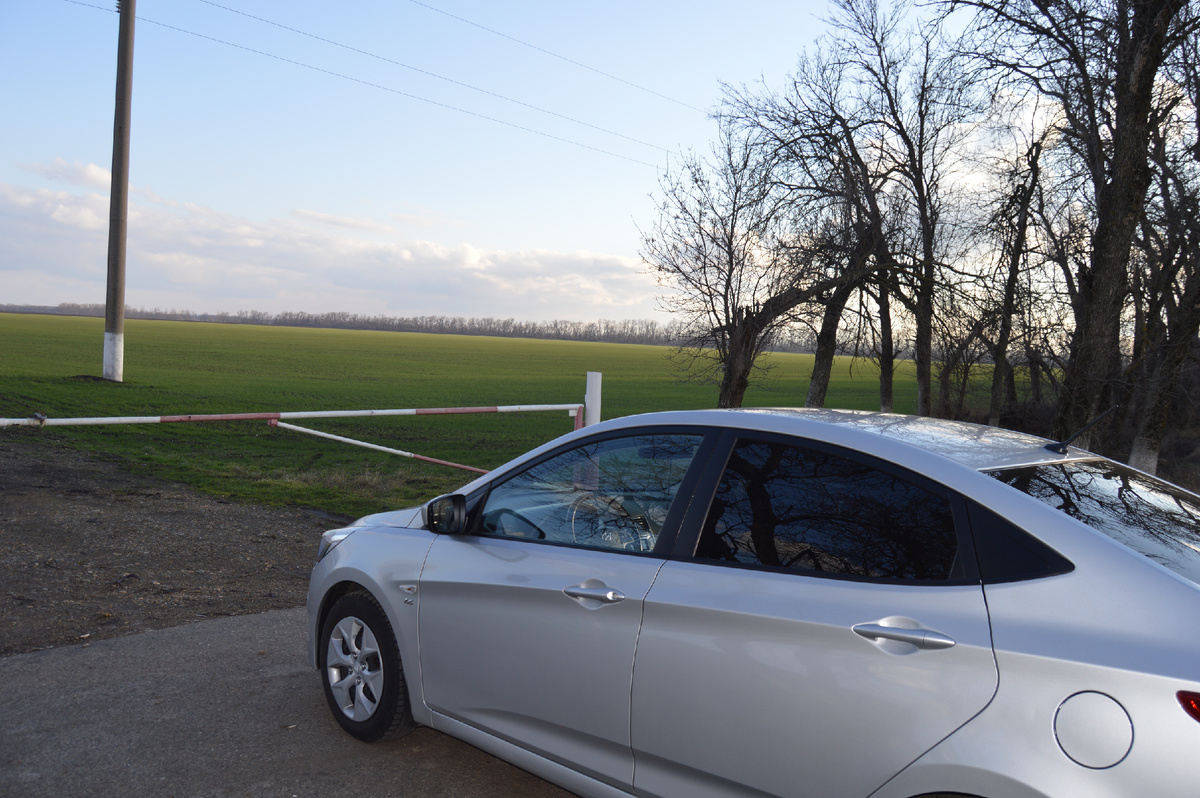 Фото автора. 05.02.2025. Выйдешь в поле, далеко тебя видать!