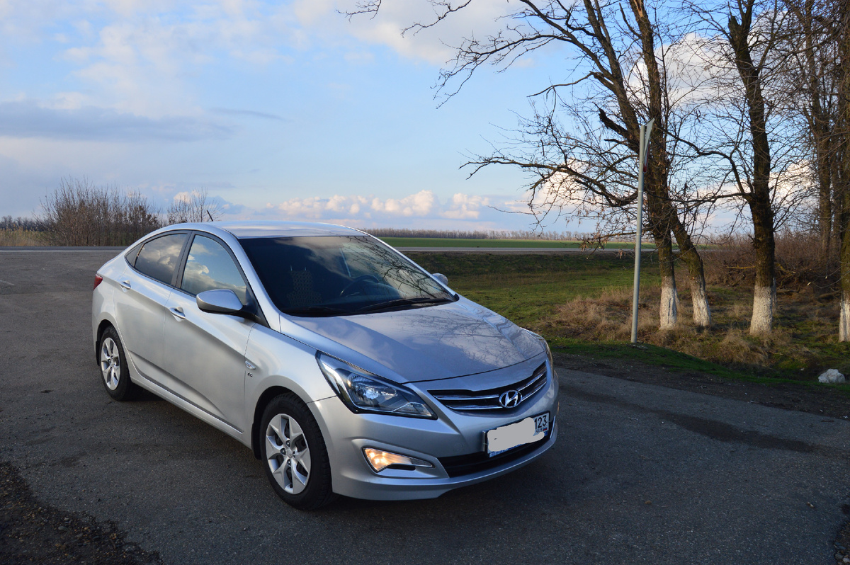 Фото автора. 05.02.2025. Выхожу один я на дорогу.