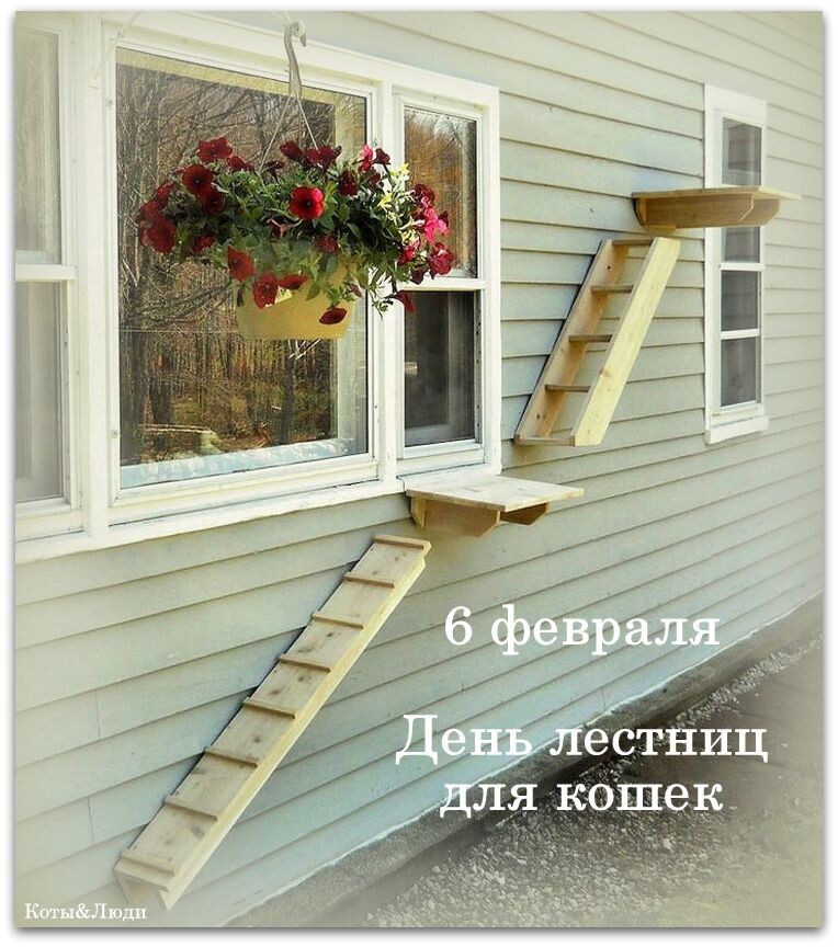 Коллаж автора