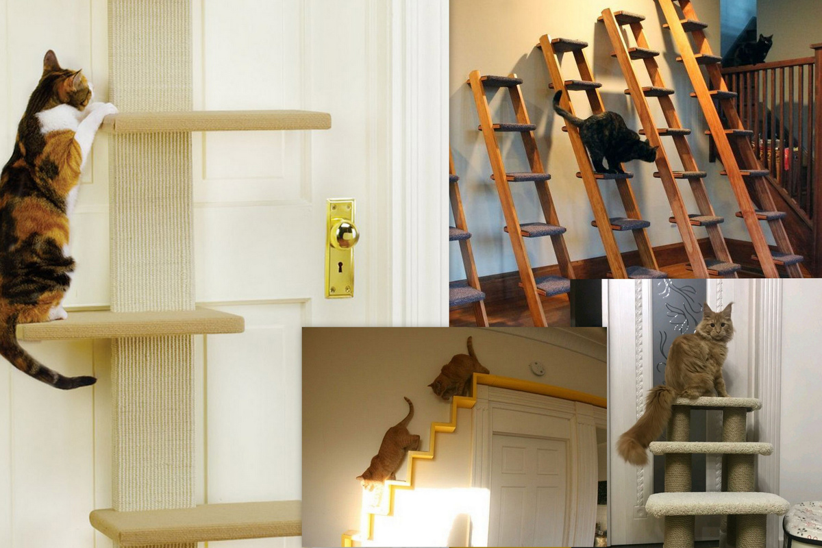 Коллаж автора