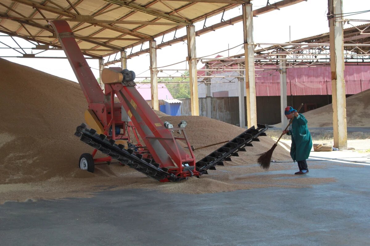    В Тульской области планируется рост АПК на 25% к 2030 году