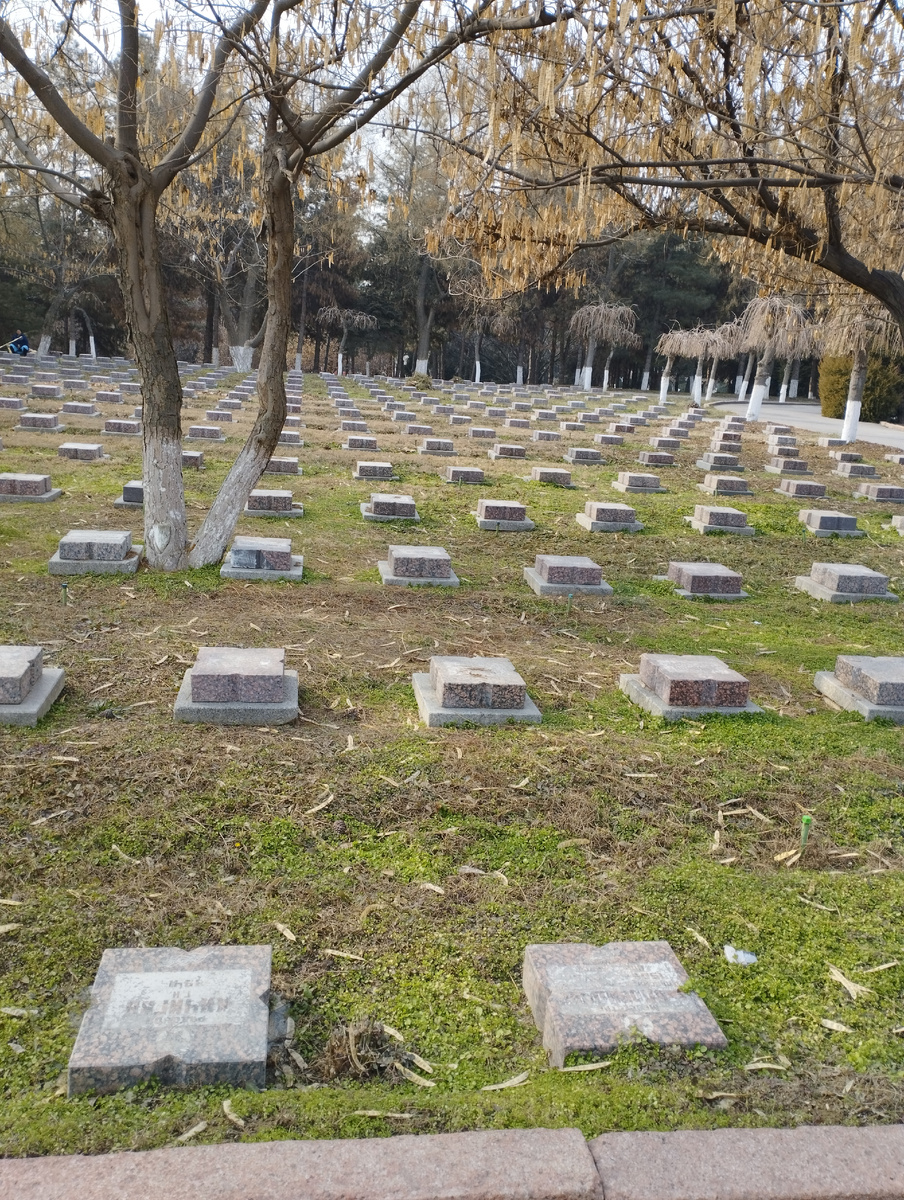 Ташкент. Братские могилы.