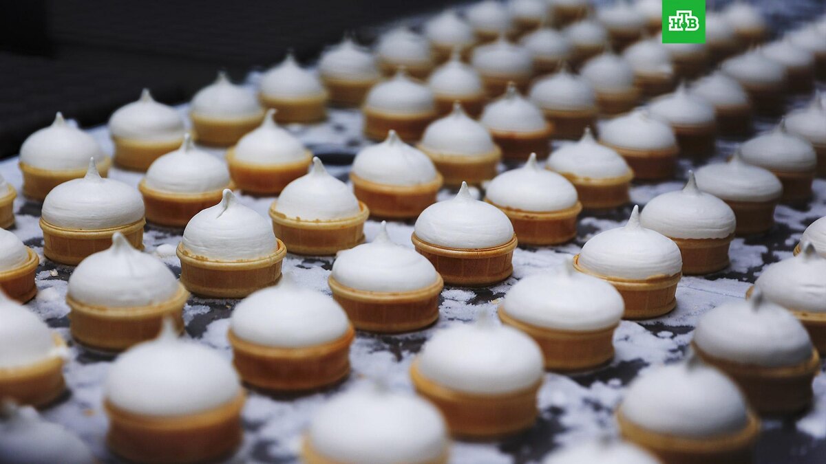    Фото: РИА Новости © 2025, Виталий Тимкив