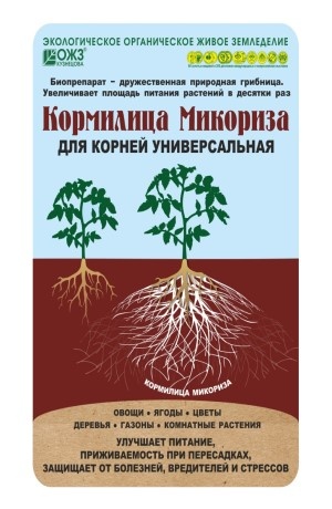 Кормилица микориза