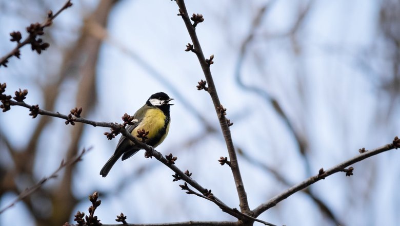 Источник: Freepik