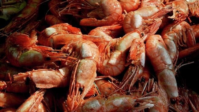 © РИА Новости / Виталий Аньков