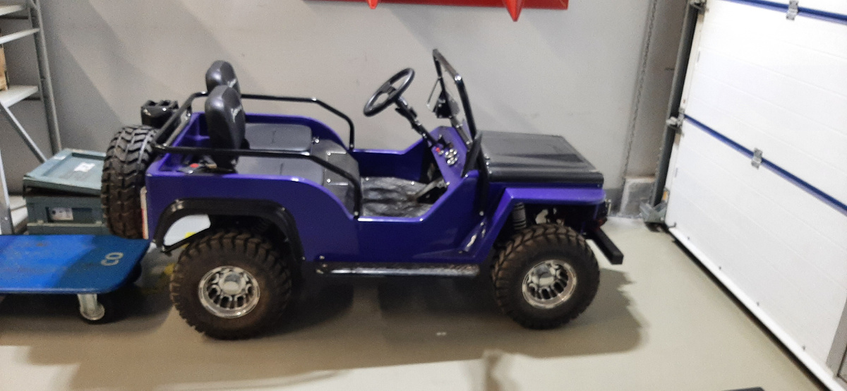 Вот такой электромобильчик был у меня