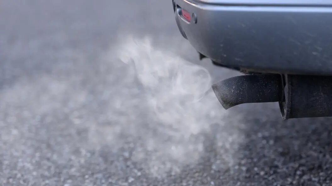    Фото: Lilly/http://imagebroker.com/#/search/Globallookpress