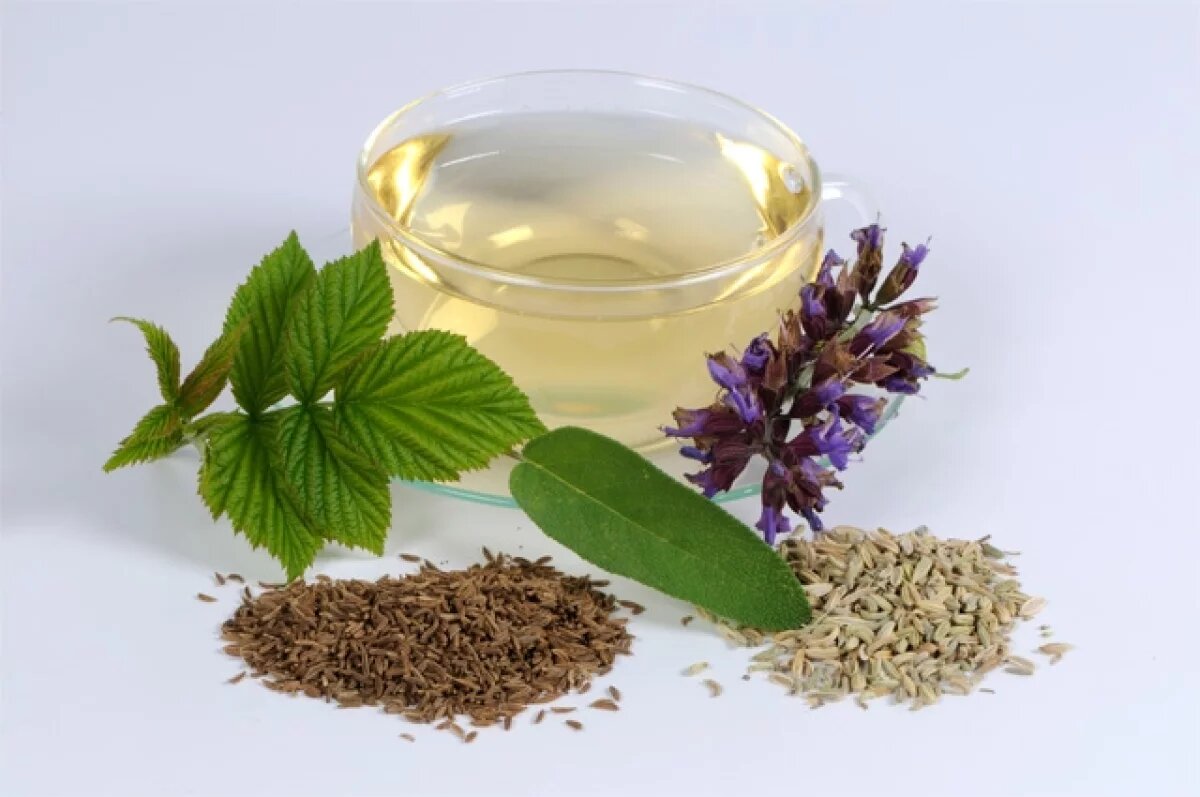    Диетолог Русакова: травяные сборы и чаи помогут успокоиться и снять стресс