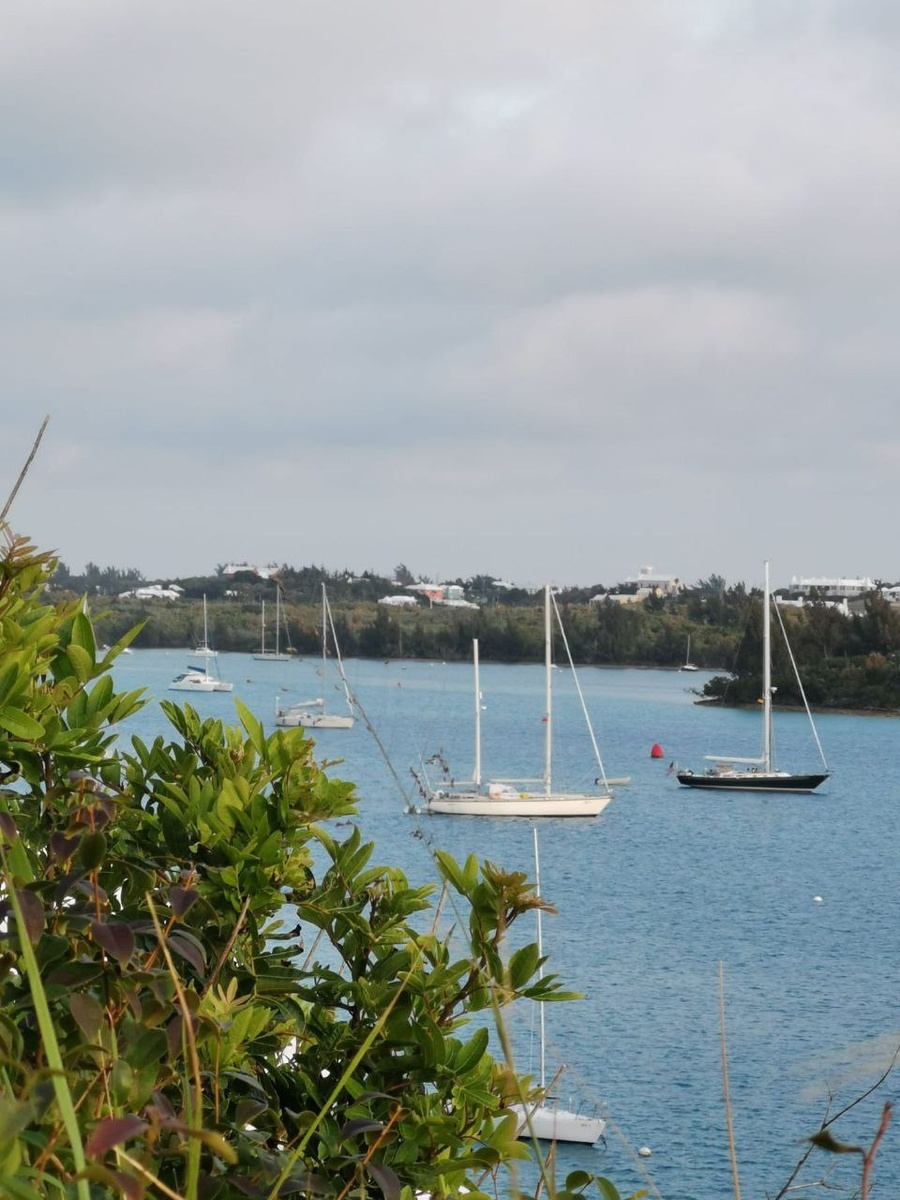 Наша лодка в центре, с двумя мачтами