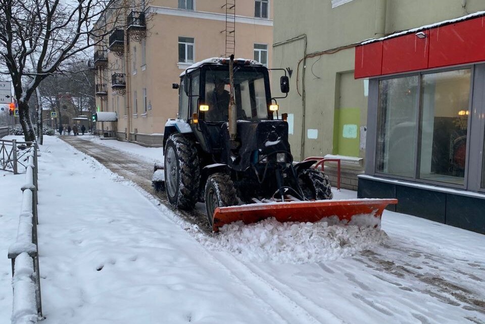 © t.me/ Комитет по благоустройству Петербурга