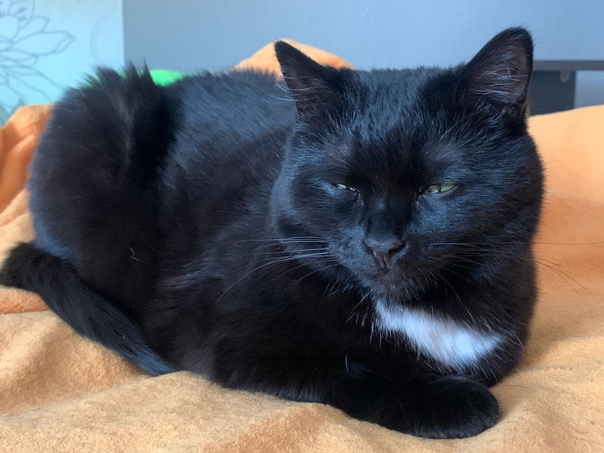 Манечка сложила лапки под брюшком не просто так — этим она сохраняет тепло