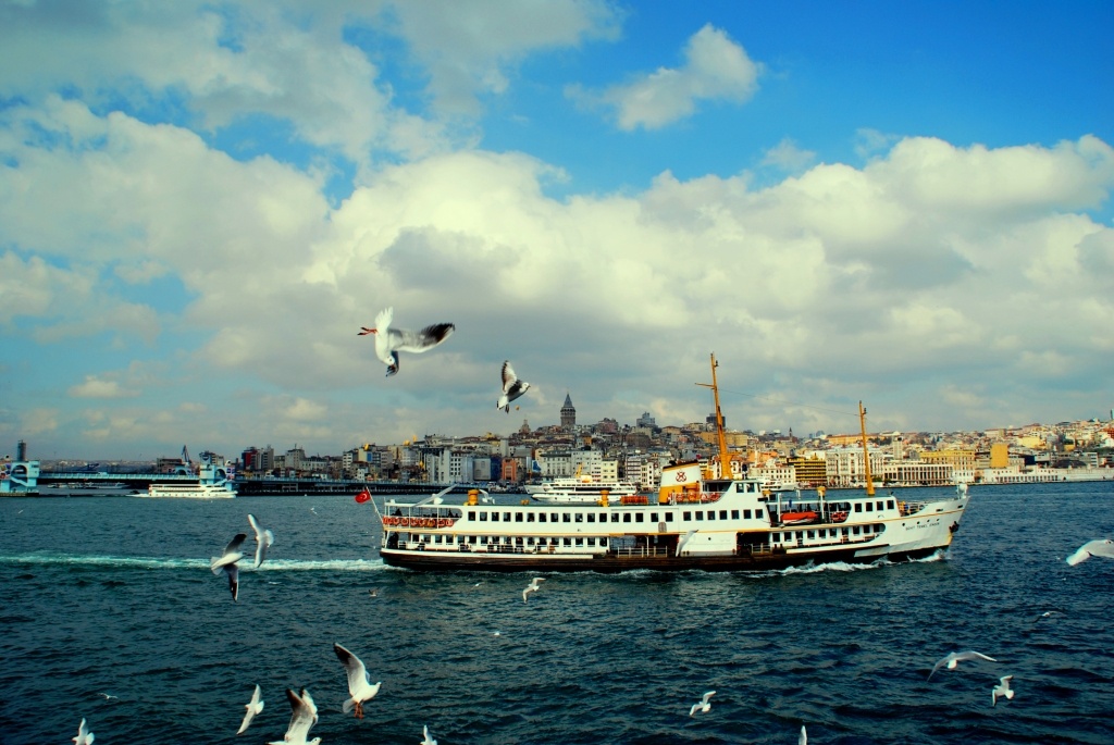 В дали Галатская башня и прожорливые босфорские чайки