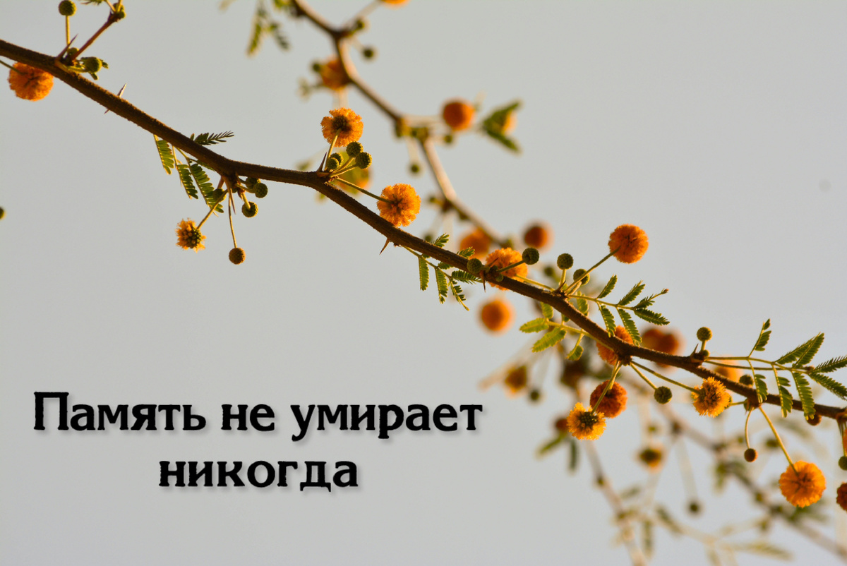 Источник - Unsplash и подпись моя 