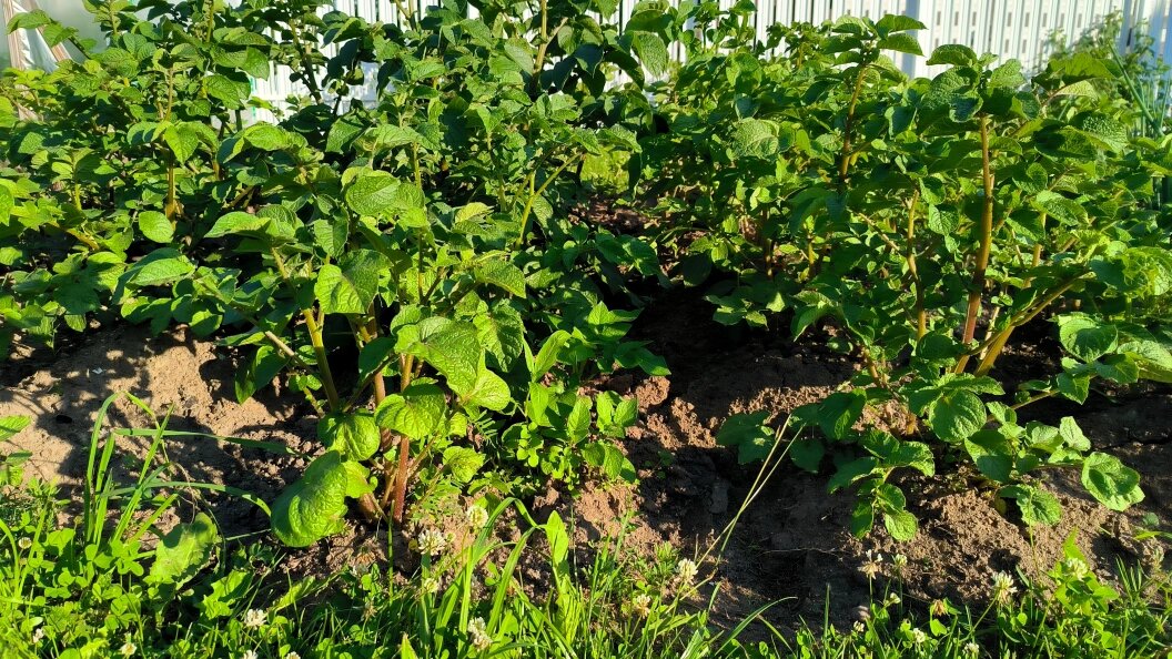    Maksim Konstantinov/Global Look Press/Globallookpress