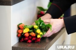    В 2025 году 8 марта выпадает на субботу