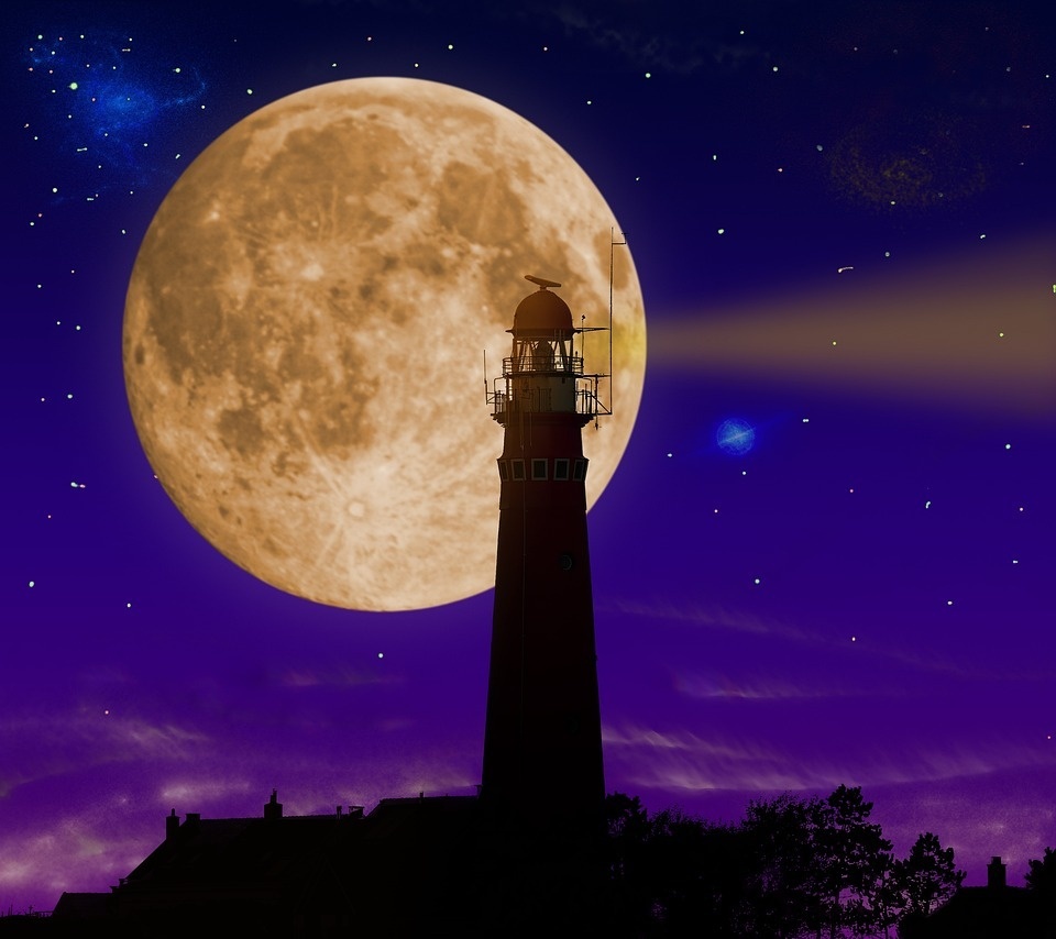 Фото с сайта pixabay.com