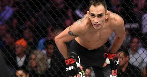 фото: открытый источник