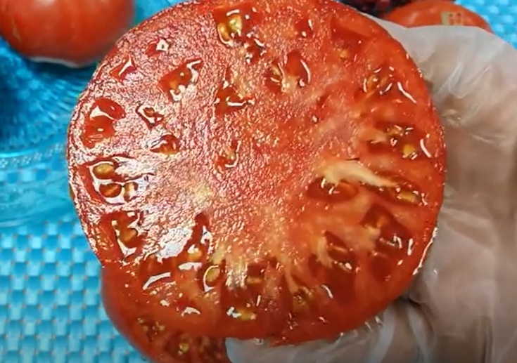Томат Бердский крупный в разрезе