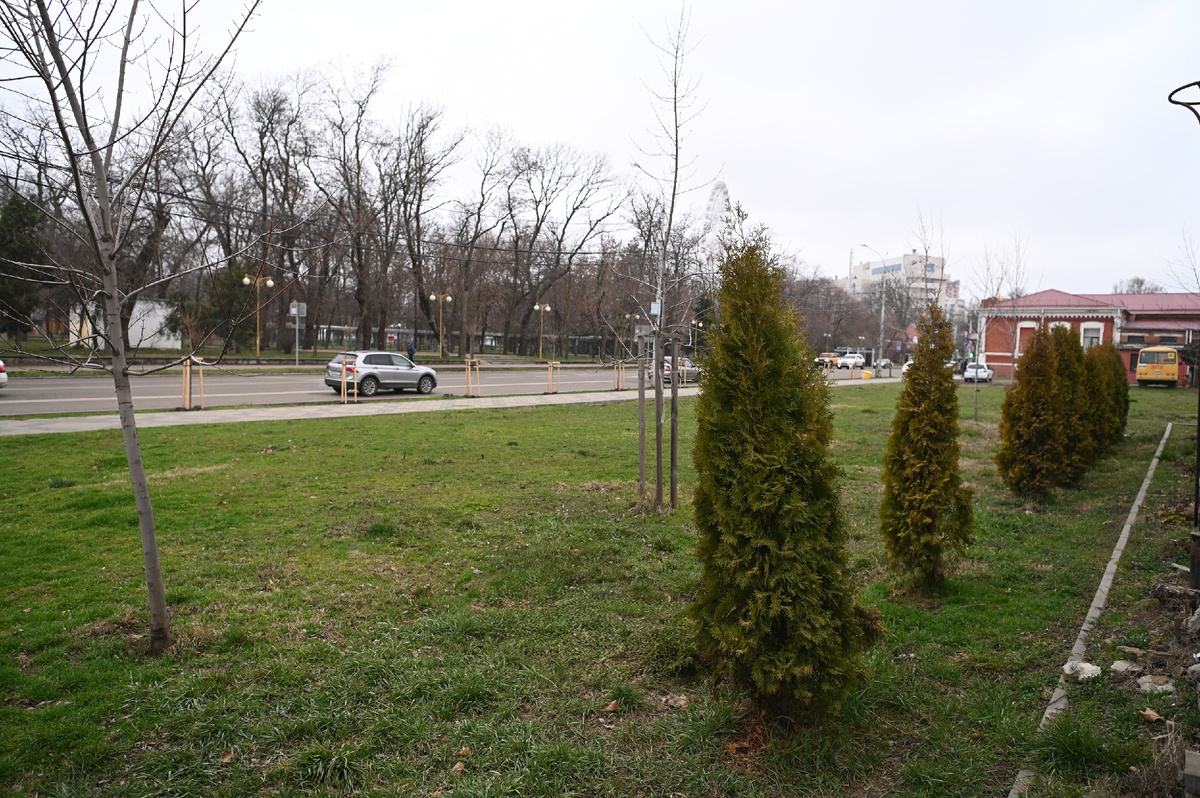 Фото: Андрей Зубов