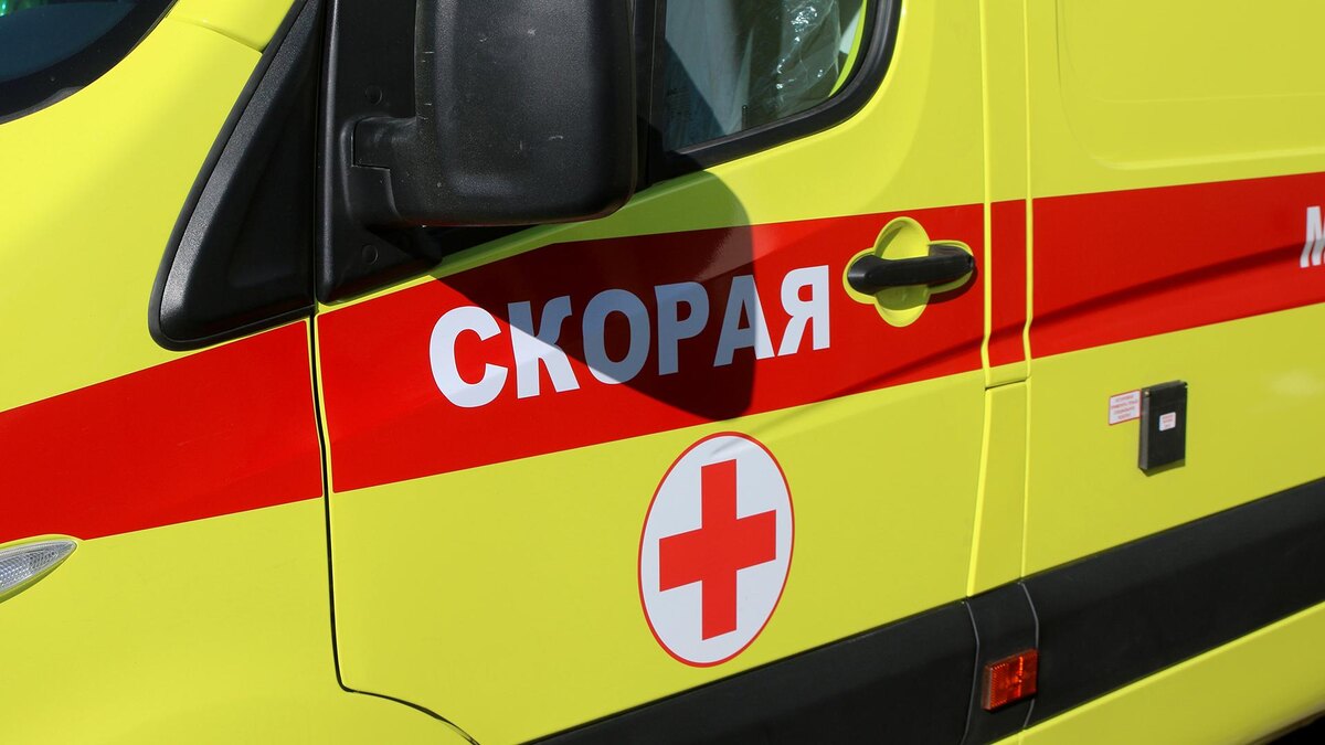    Фото: Maksim Konstantinov/globallookpress.com