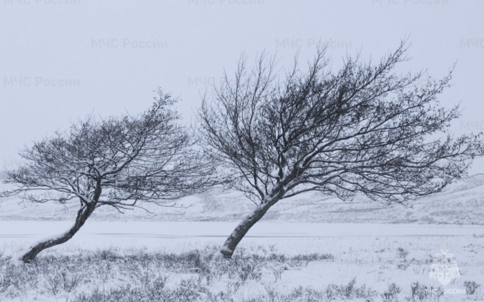    ГУ МЧС России по Краснодарскому краю
