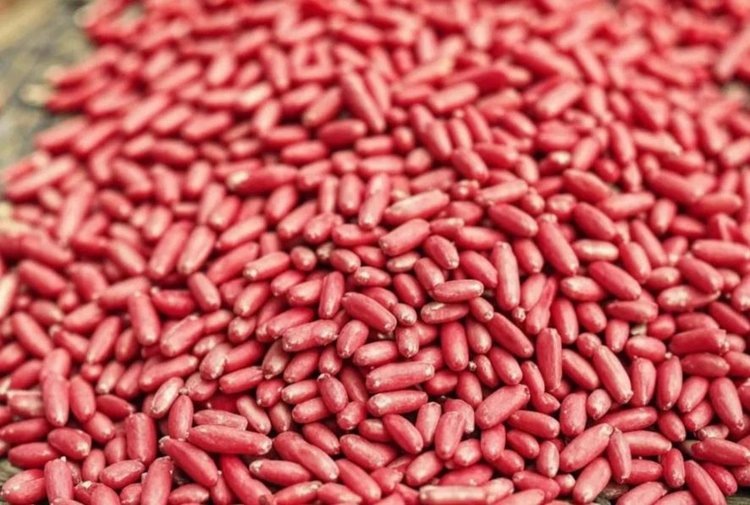    В Карачаево-Черкесии доля отечественных семян в закупках к посевной 2025 превысит 80