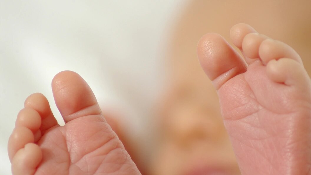    фото: CHROMORANGE / Bilderbox/Globallookpress