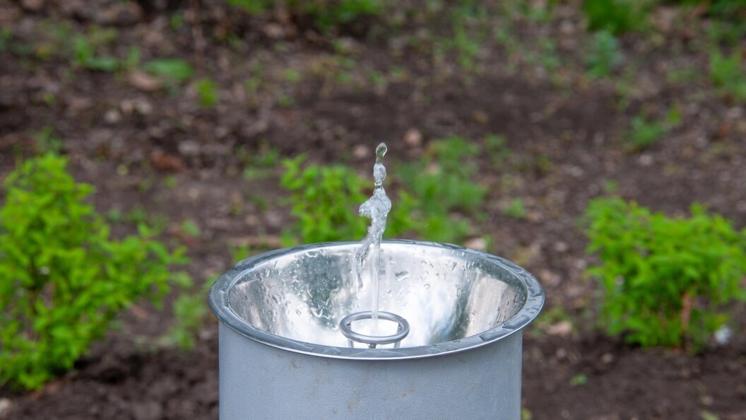    © Svetlana Vozmilova/Globallookpress