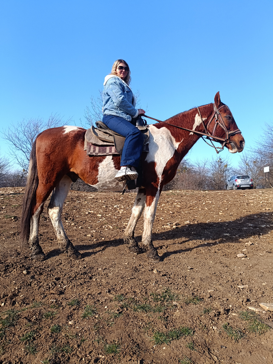 все фото автора