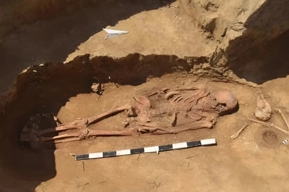    Похоронили с конём.