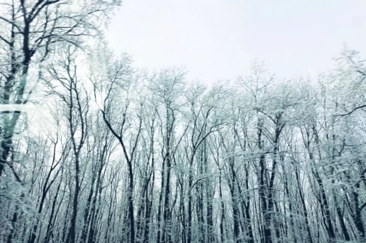    На Кубани и в Адыгее объявили штормовое предупреждение о лавиноопасности