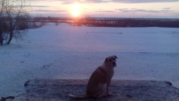 Лидер на крыльце Муниципального приюта.