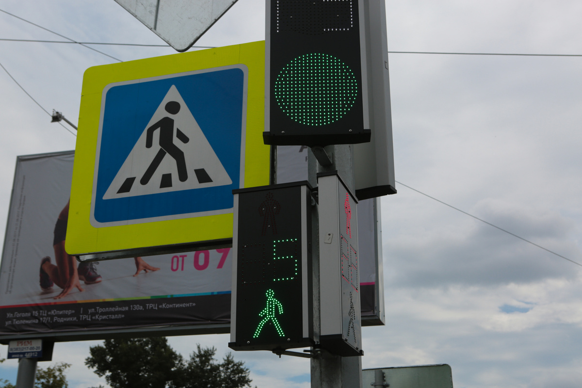 Фото: Ростислав Нетисов, nsknews.info